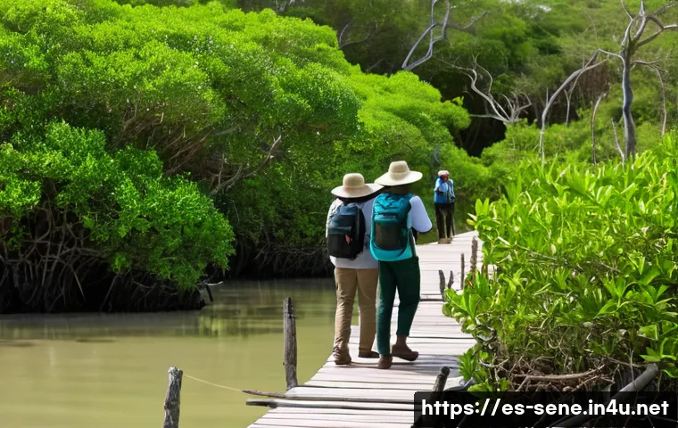세네갈에서 가볼 만한 섬 관련 이미지 2